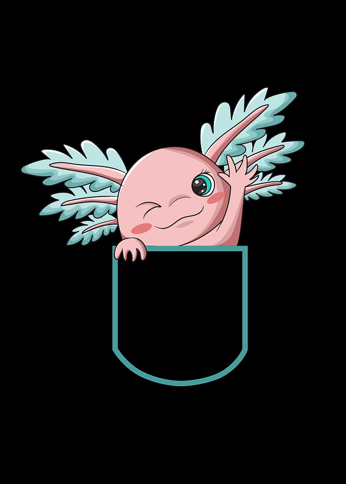 Funny Axolotl Design
