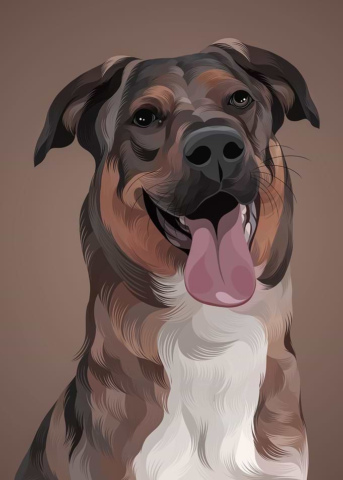 Dog 27