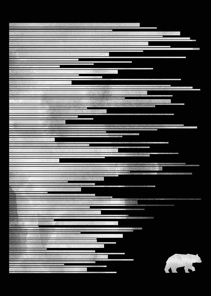 Wild Noise