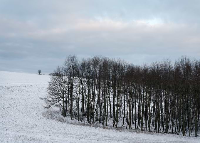 Winter evening