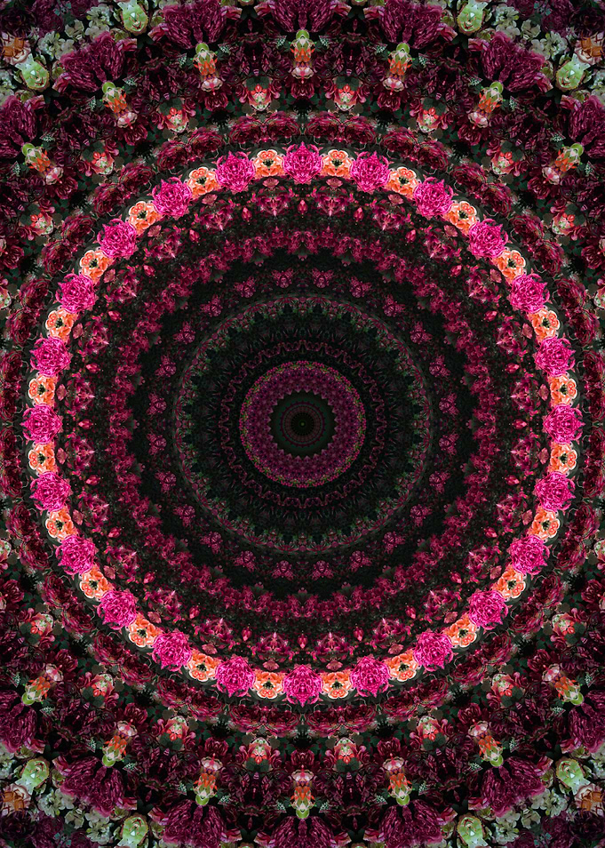 Peony Mandala