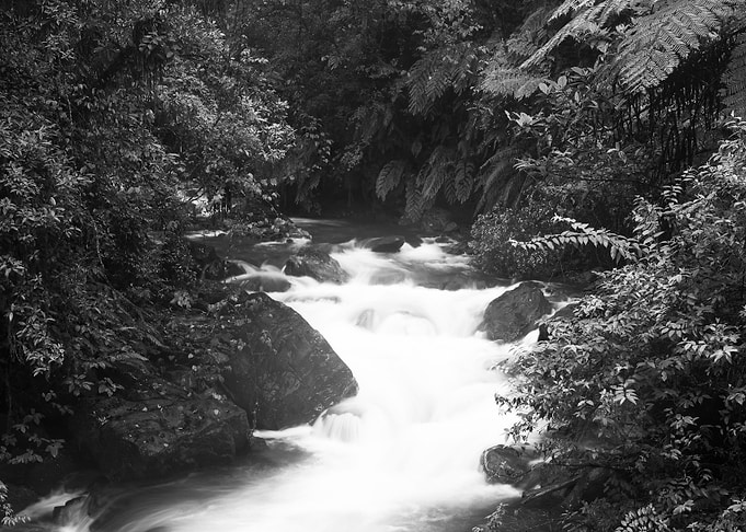 Streams in Taiwan