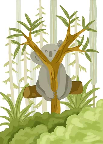 Koala Animals