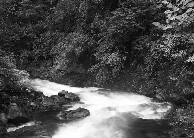 Streams in Taiwan