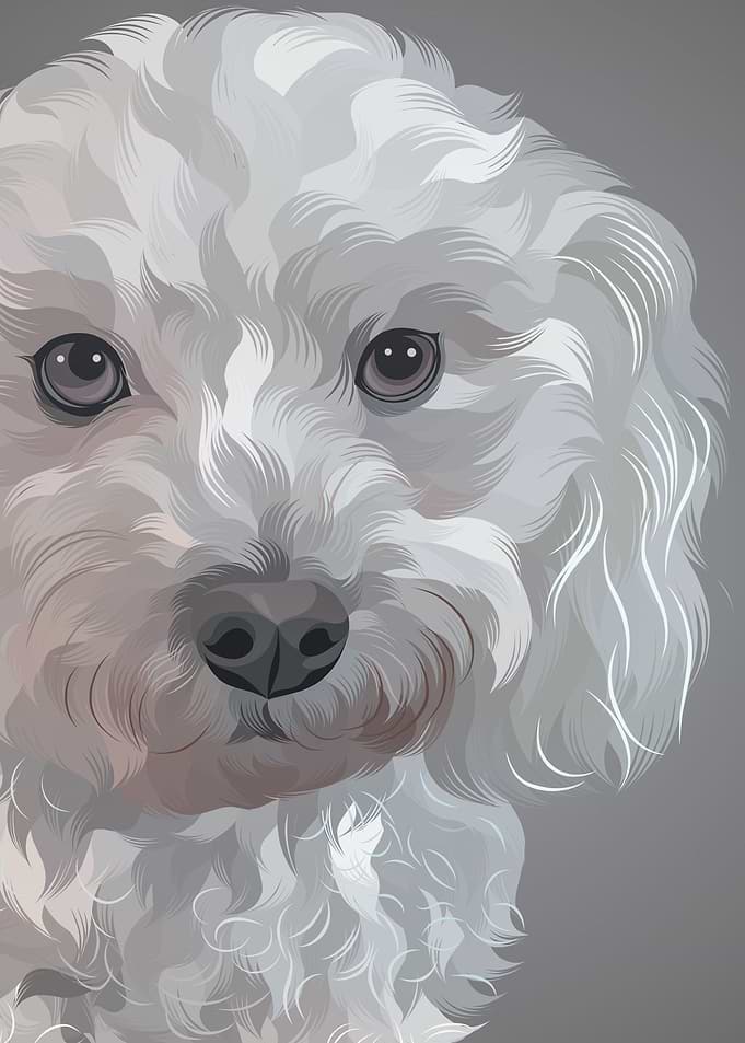 Cute dog