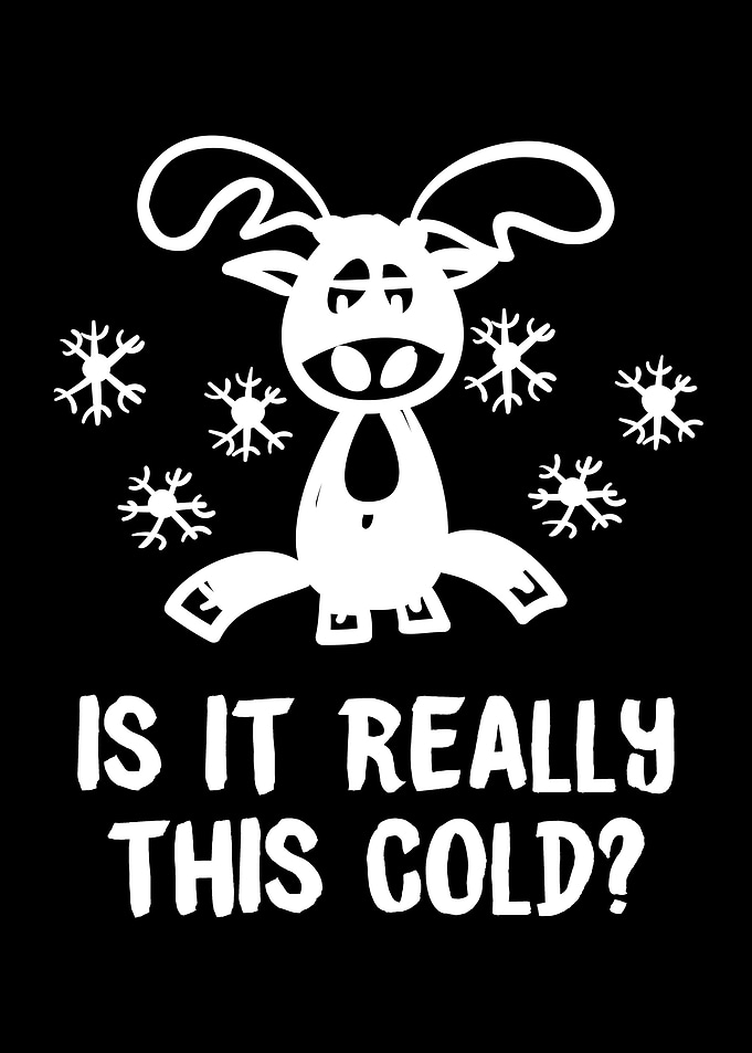Cute Winter Season Animals