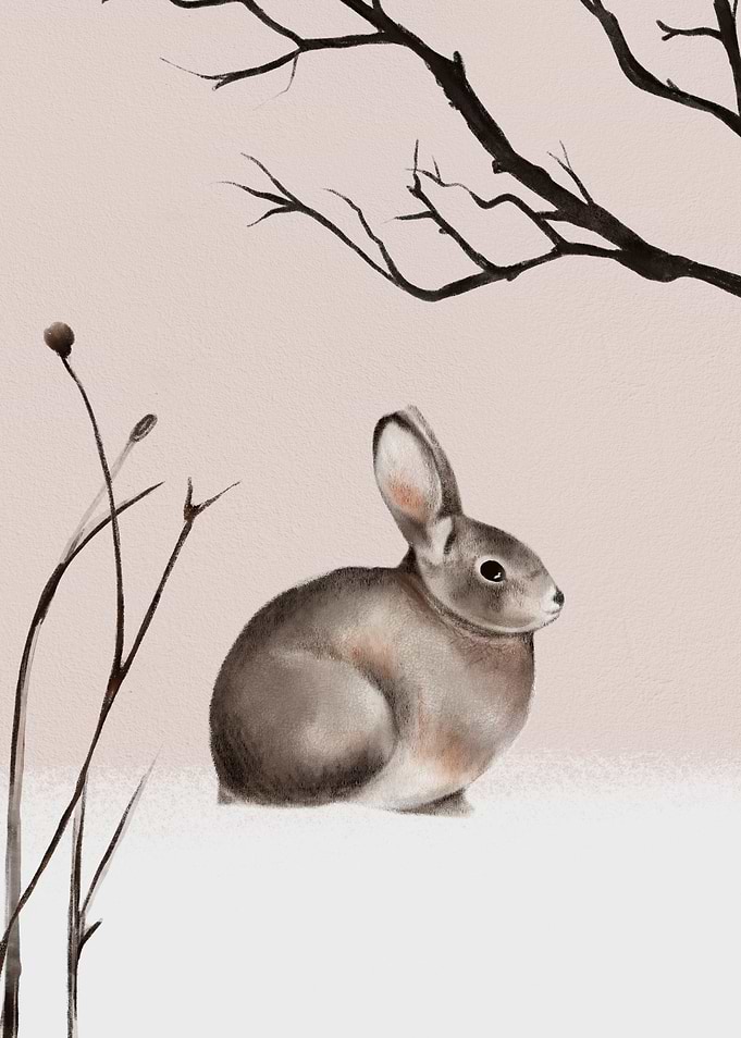 Rabbit
