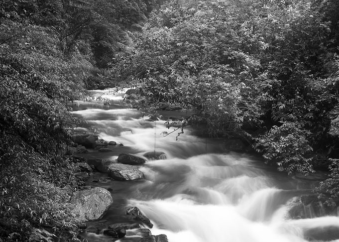 Streams in Taiwan