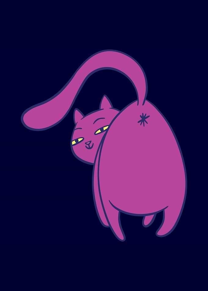 Funny Cat Butt