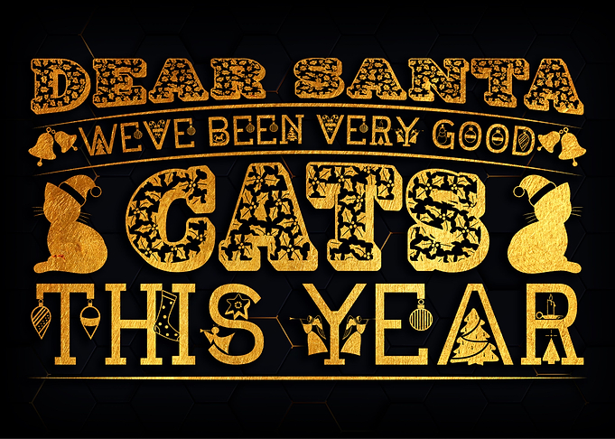 Cats this year