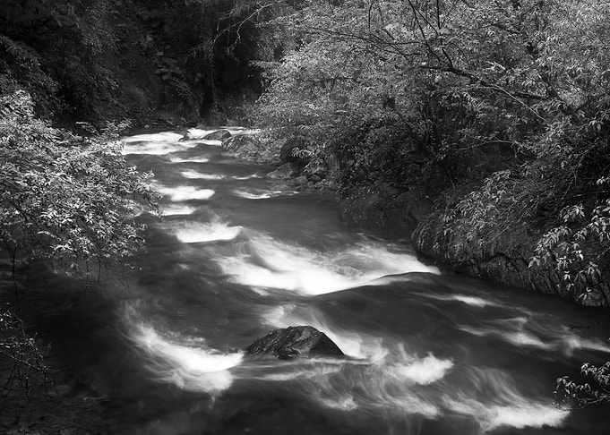 Streams in Taiwan