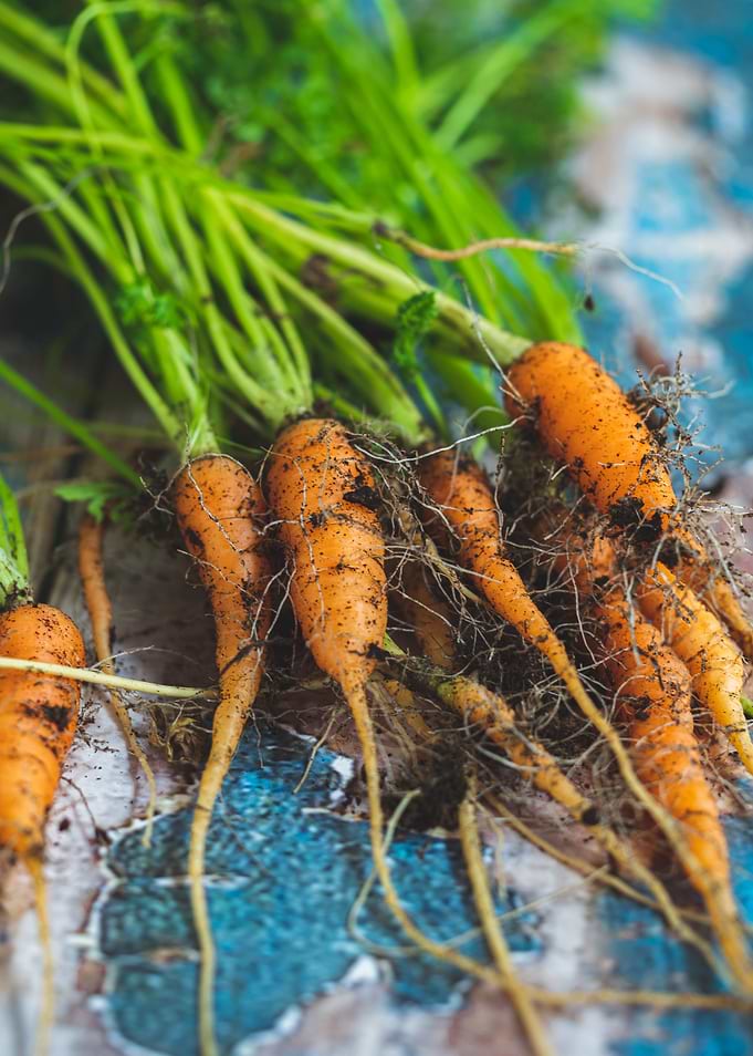 Carrots