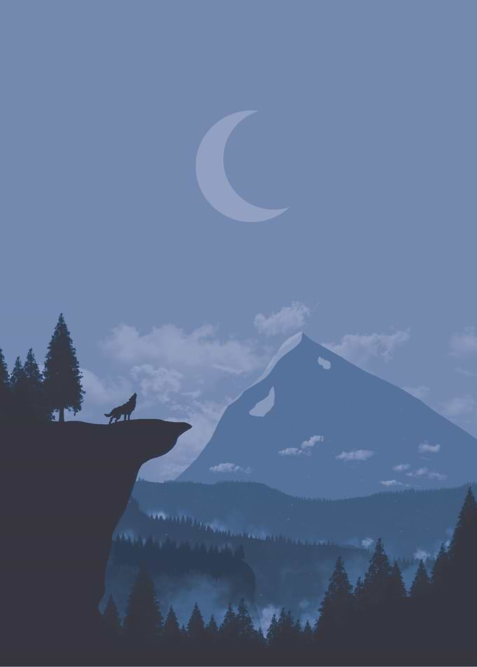 Wolf Howling At The Moon