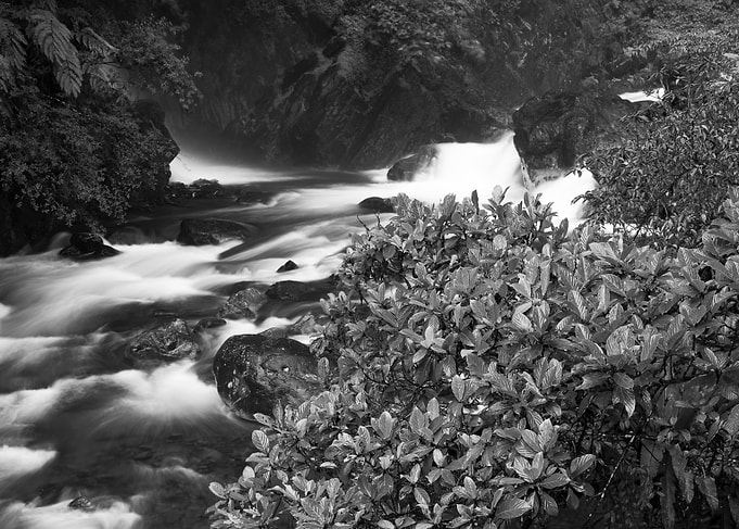 Streams in Taiwan