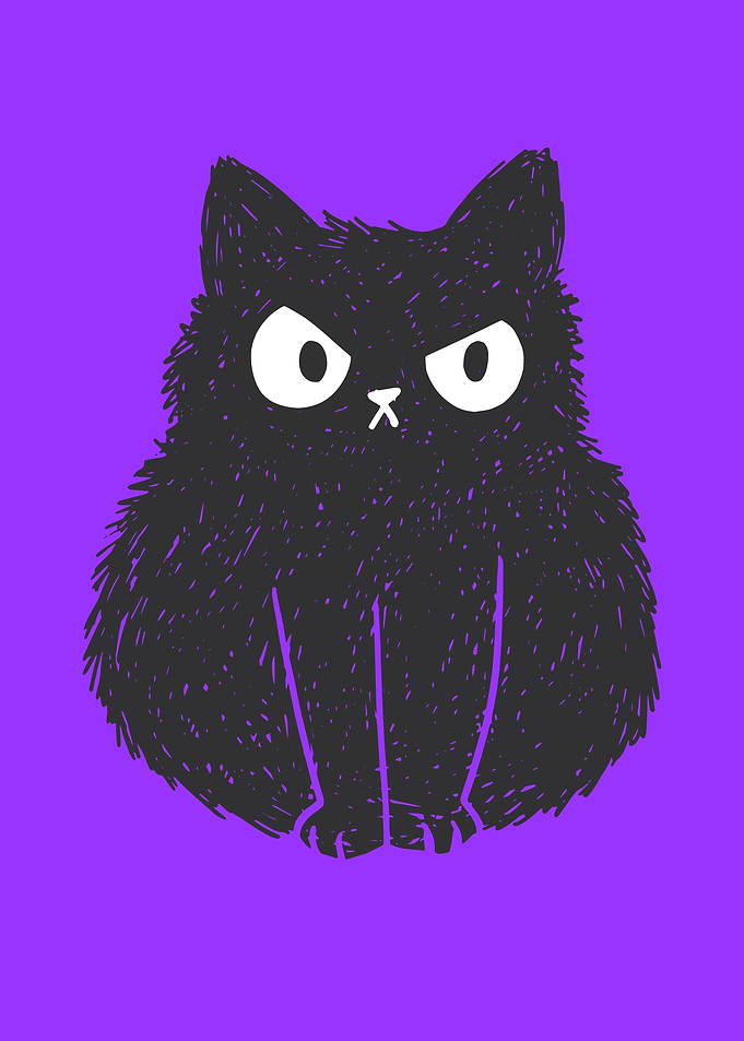 Angry Cat Funny Cat