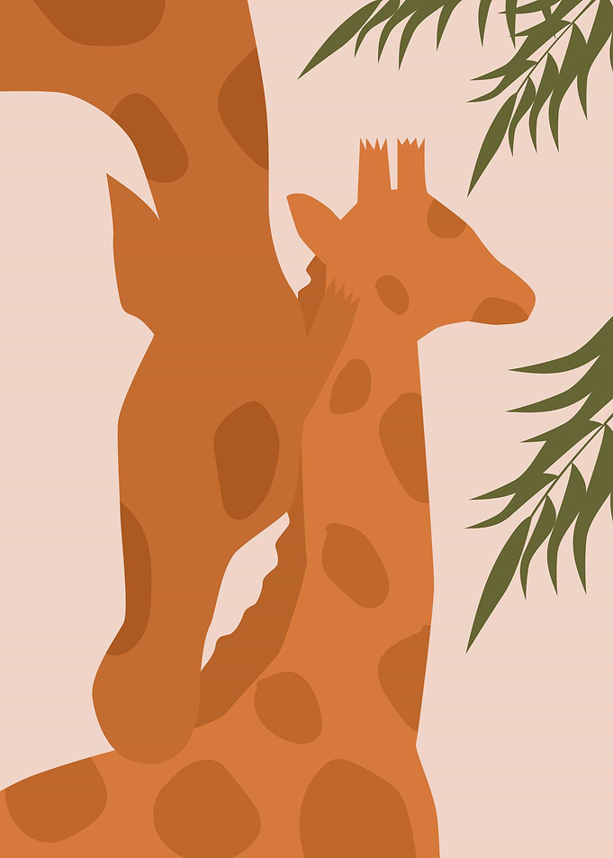 Cute Giraffe Africa animal