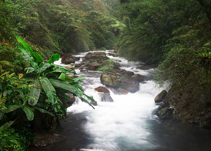 Beautiful streams Taiwan