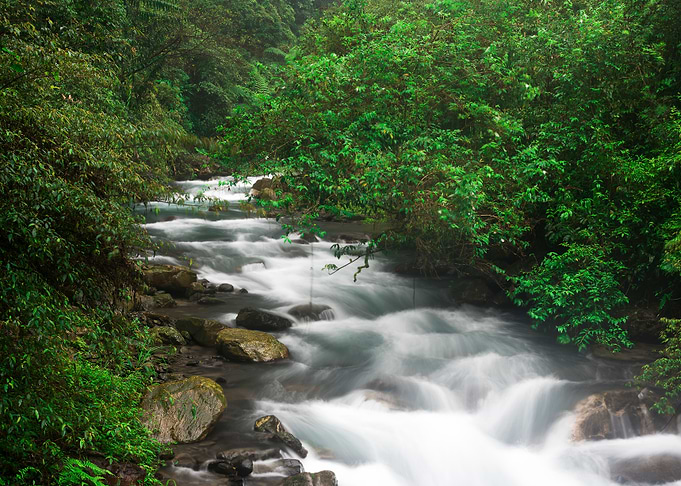 Beautiful streams Taiwan