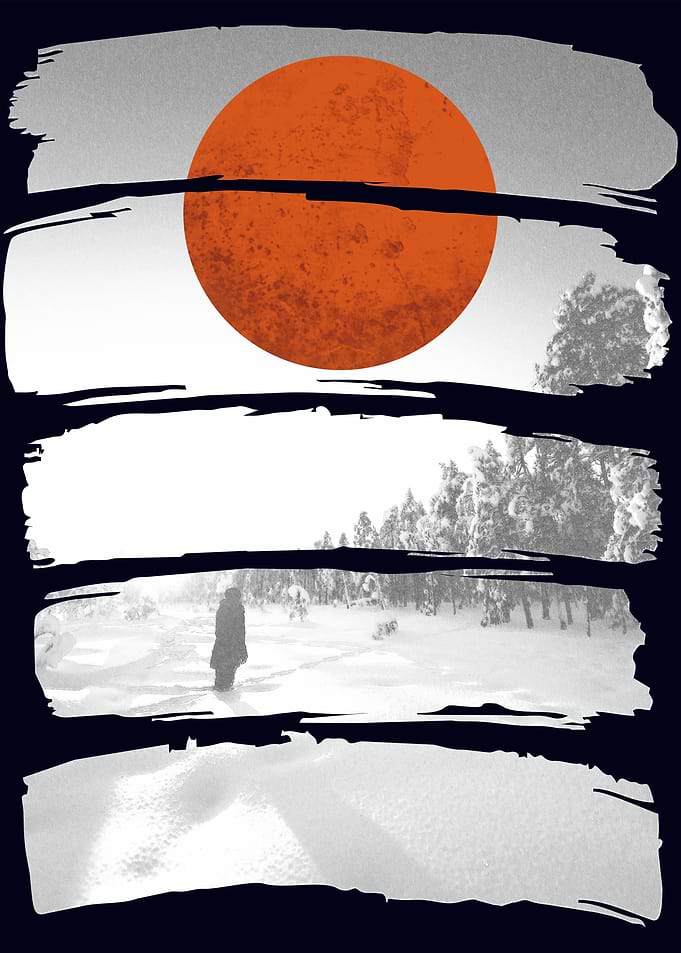 Winter Forest