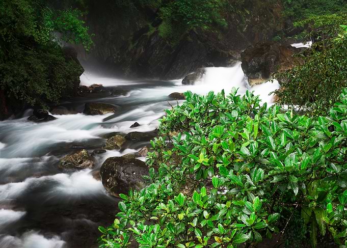 Beautiful streams Taiwan
