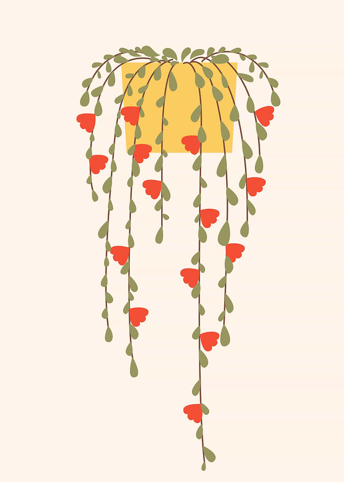 Botanical flower hangings