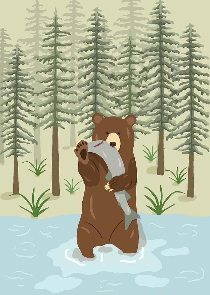 Squirell Animals