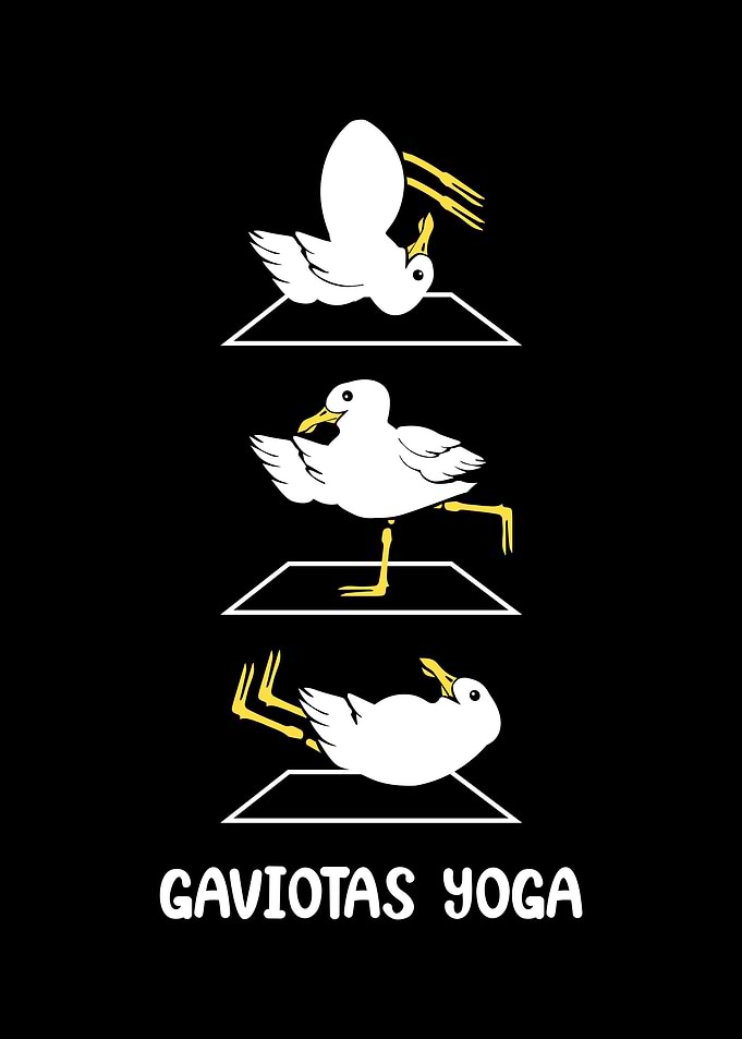 Seagull Yoga Spain