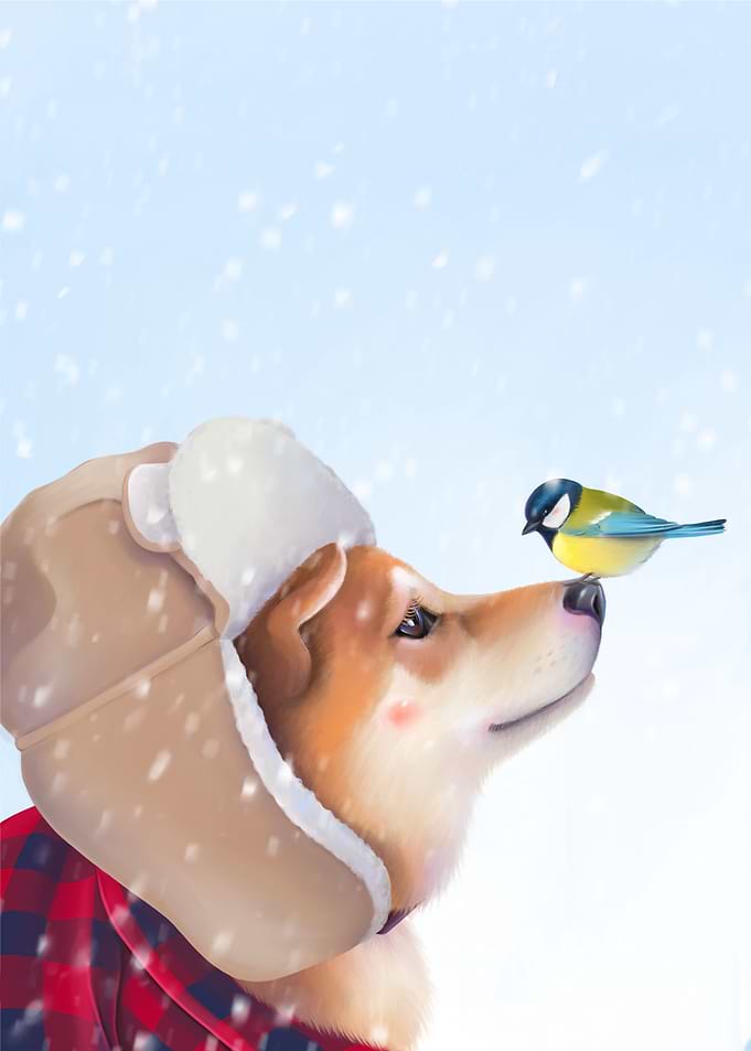 Cute Shiba Dog