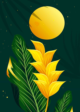 Night gold botanical