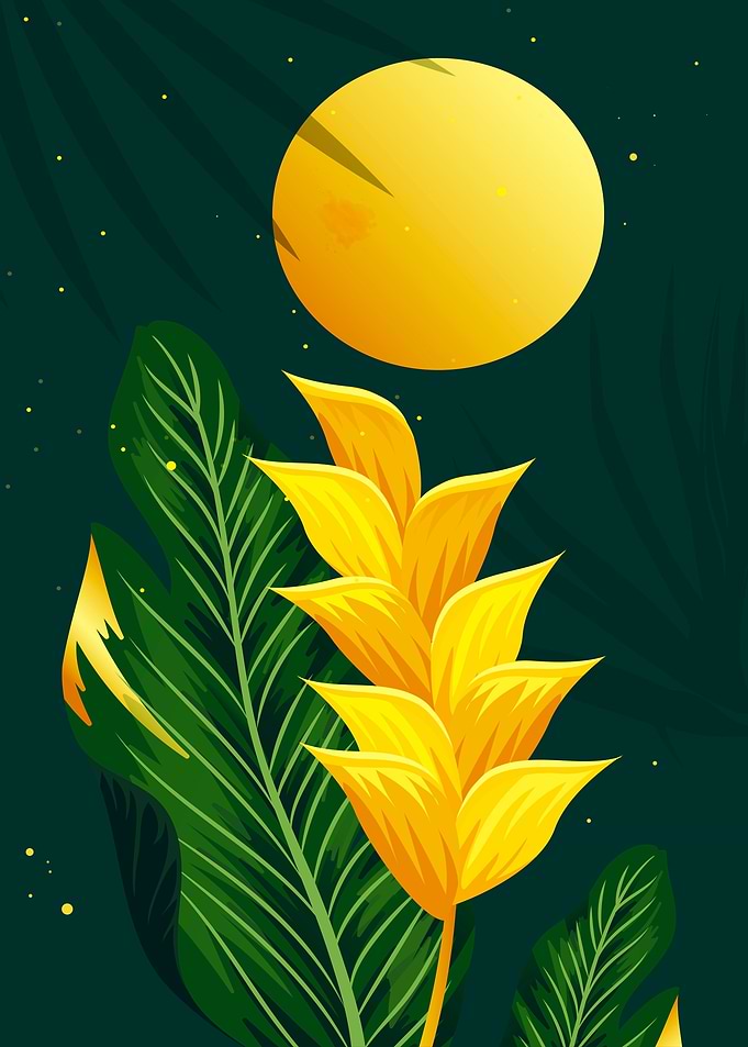 Night gold botanical