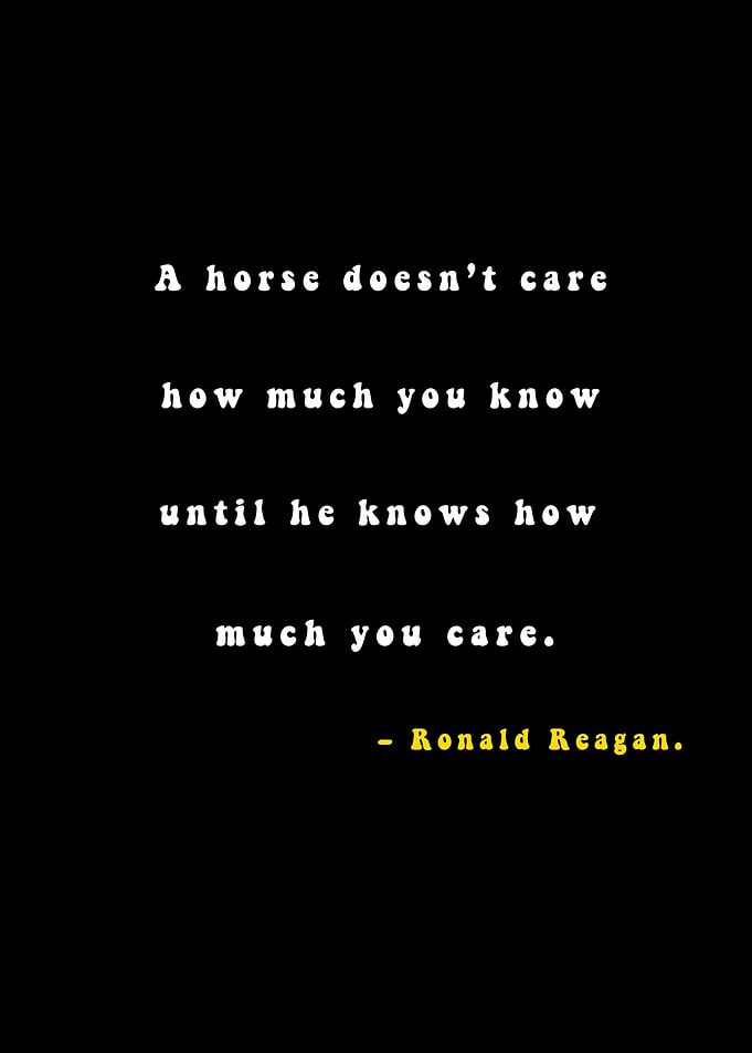Horse Animal