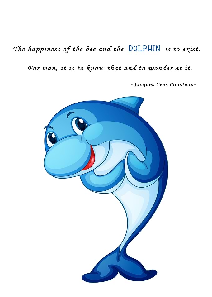 Quotes Dolphin Animal