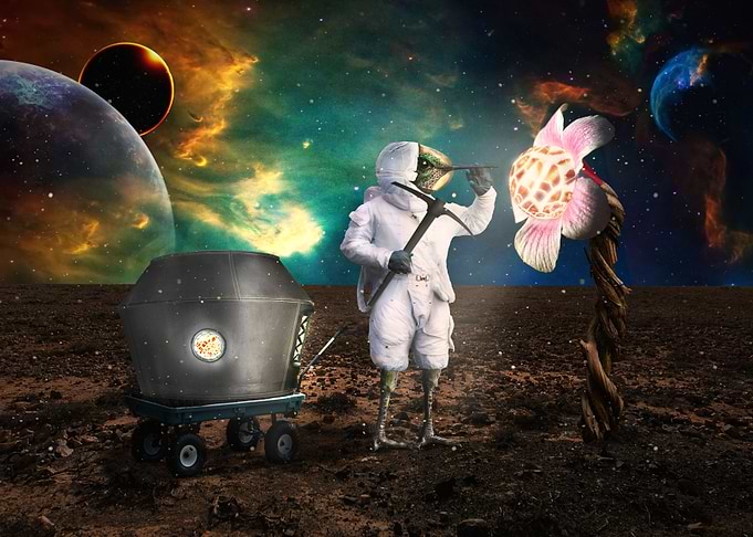 Mining Space Bird