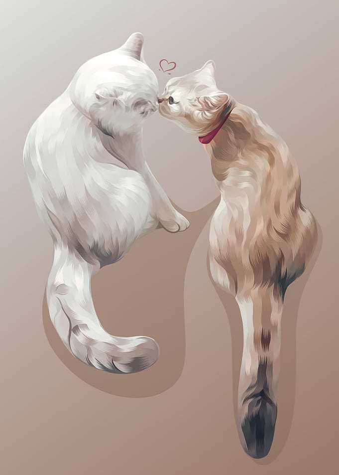 Couple Cat