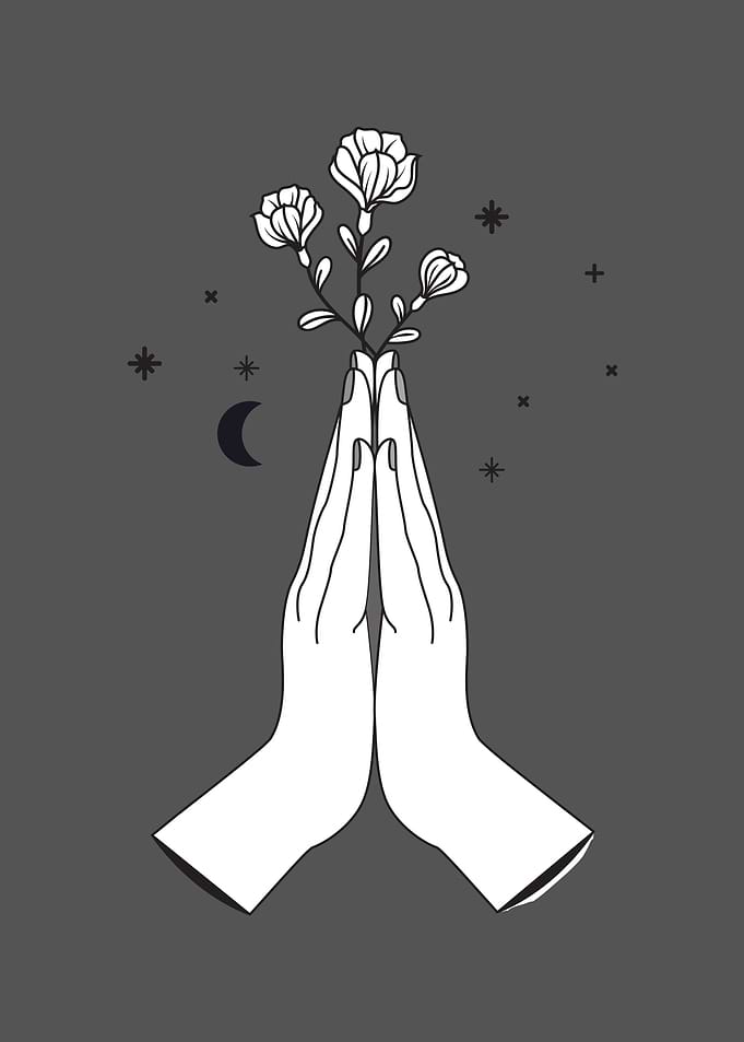 Flower Growth Illustration