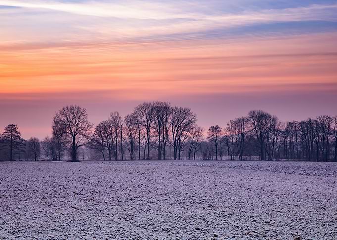 Winter misty morning, sky