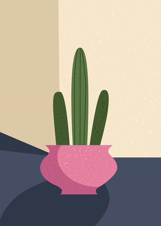 Cacti vase homedecor plant
