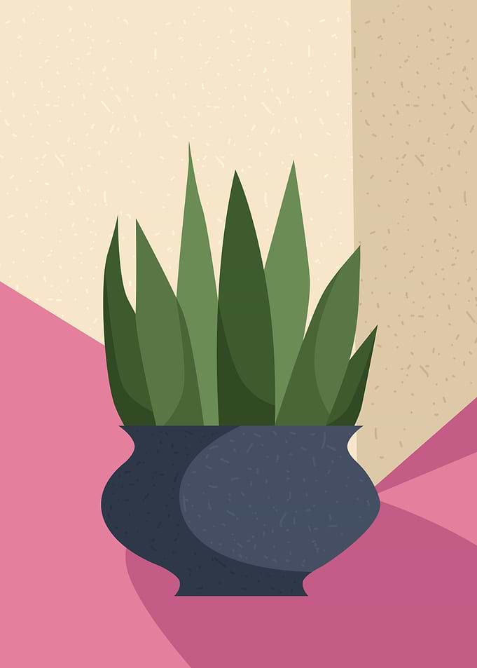 Cactus Succulents vase