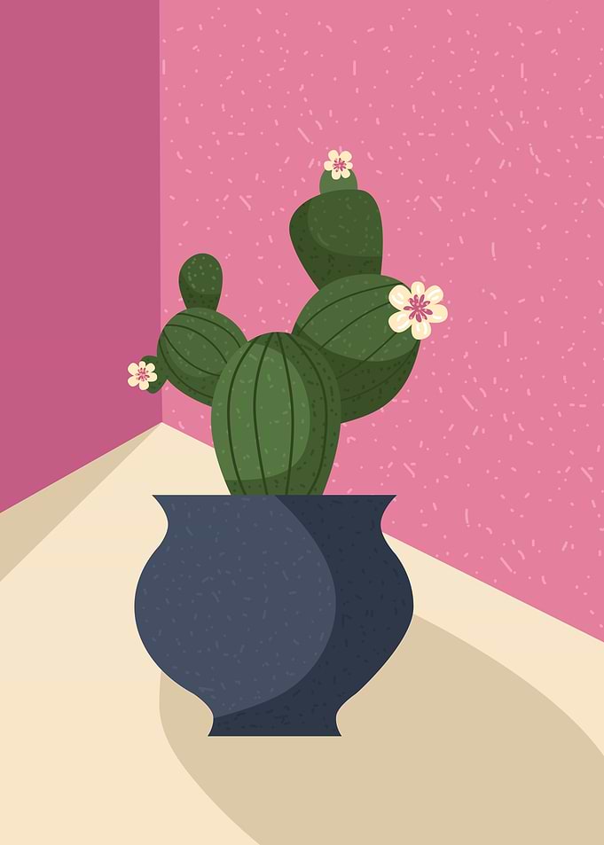 Botanical Cacti Succulent