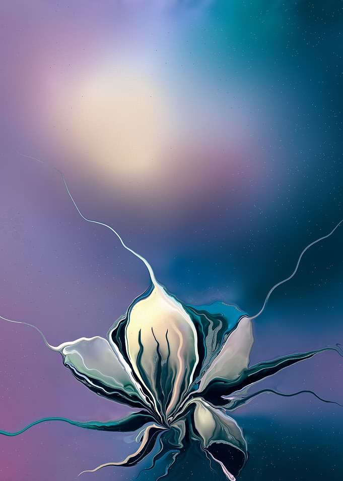 Ink flower No5 after rain