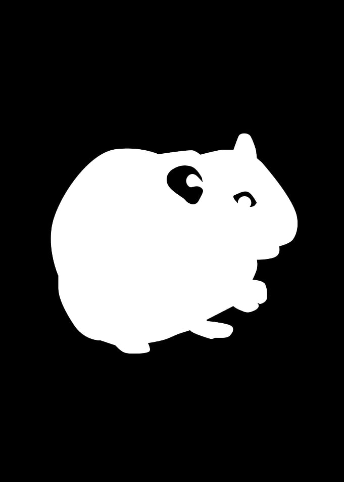 Hamster