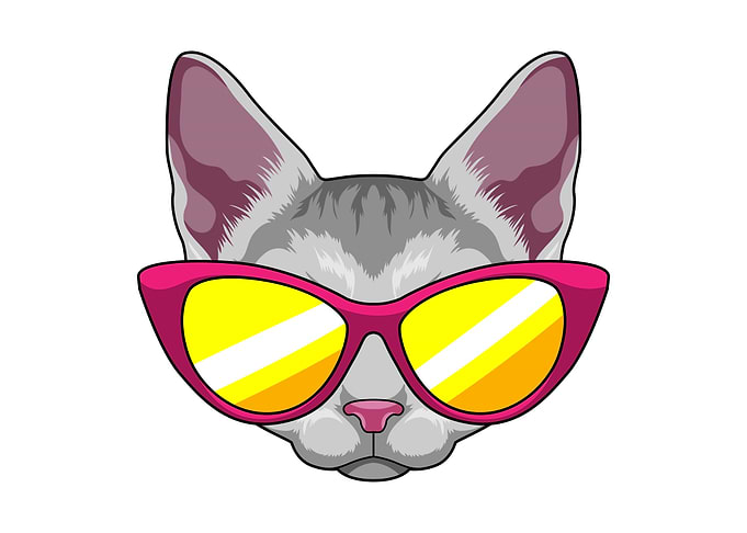 Cat Sunglasses