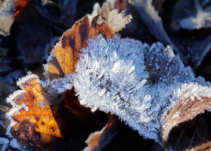 ice crystal