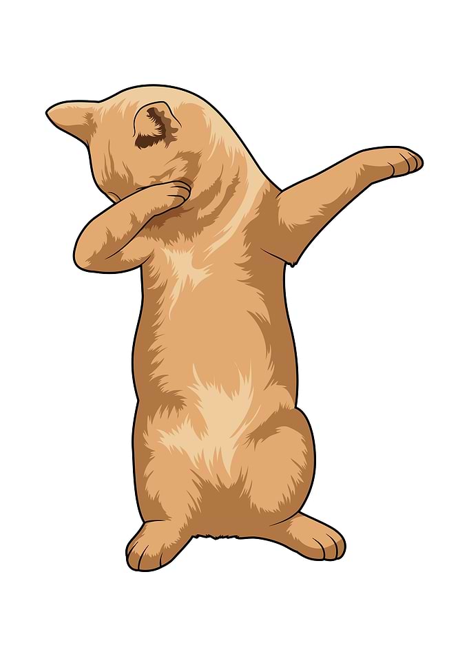 Cat Hip Hop Dance Dab
