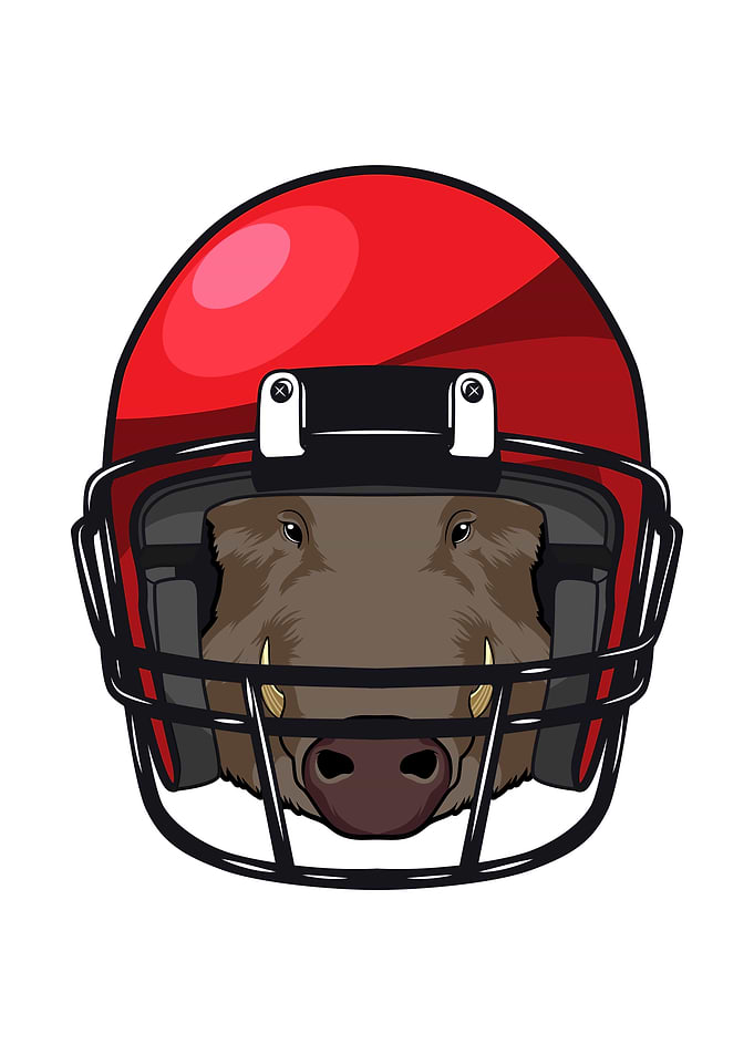 Boar Football Sports