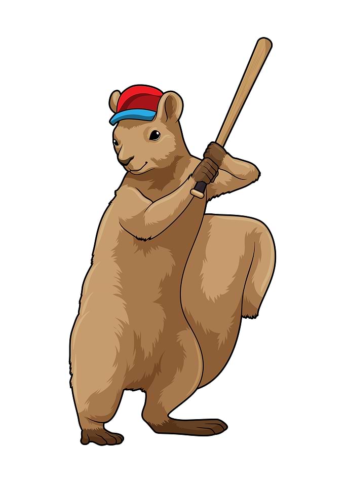 Squirrel Baseball Sports