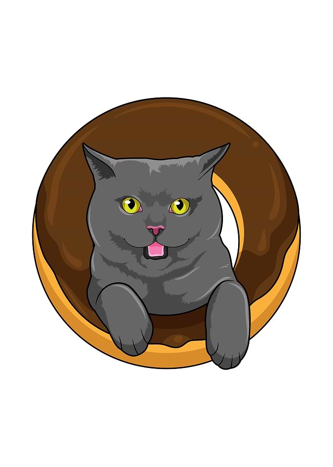 Cat Donut