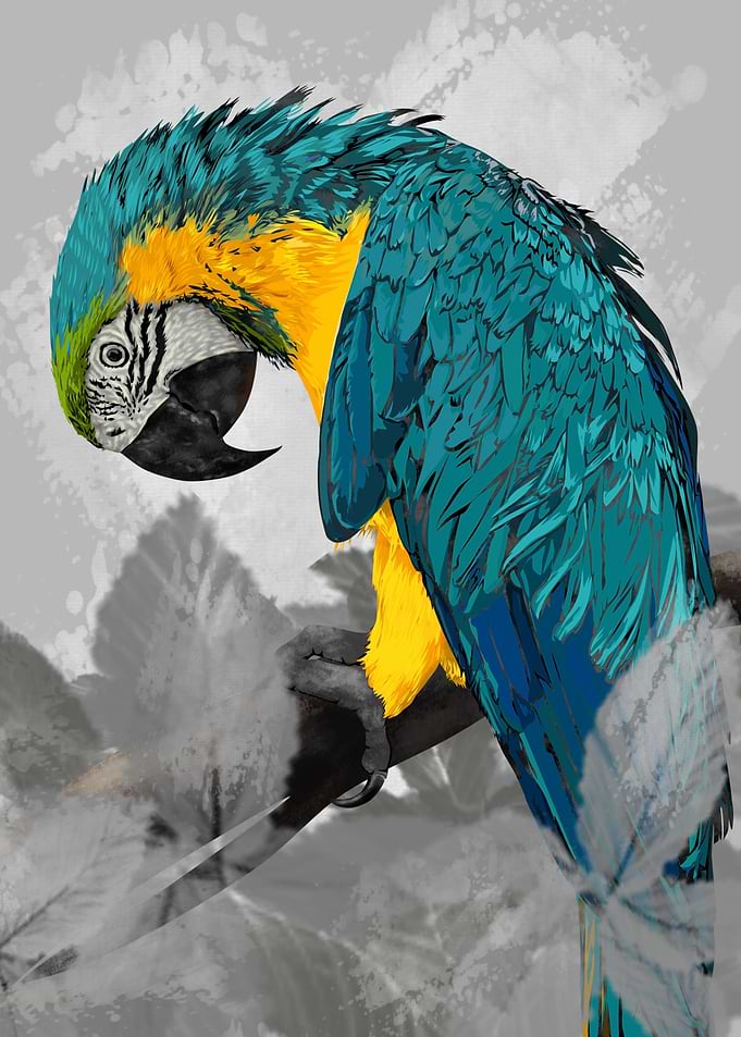 Tropical Parrot