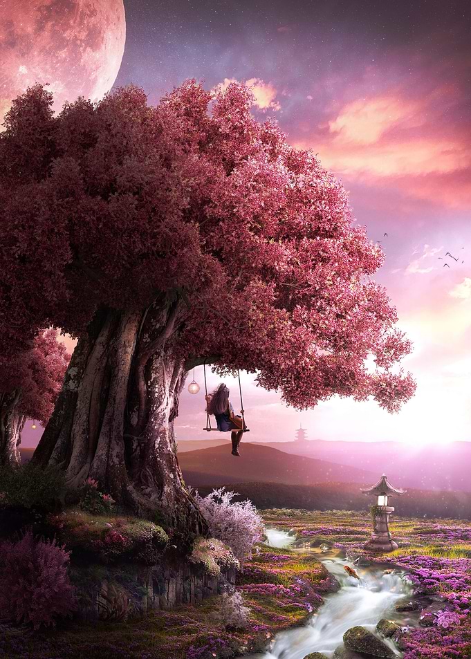 Sakura Sunset