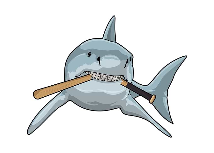 Shark Baseball Sports